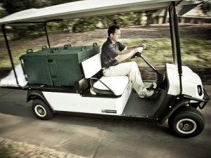 Ezgo Shuttle 2 Flatbed Buggy