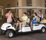 Yamaha 6 Seat Buggie