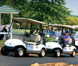 Yamaha G29 Petrol Golf Buggys