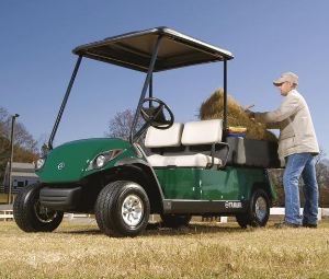 Yamaha YTFT2 Utility Vehicle Buggie