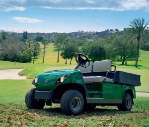 Yamaha YTFT2 Utility Vehicle Buggy